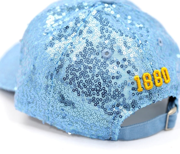 Southern Ladies Sequin Hat